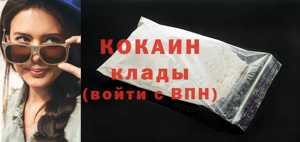 соль ск Михайлов