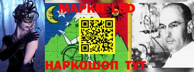 прущие грибы Абакан