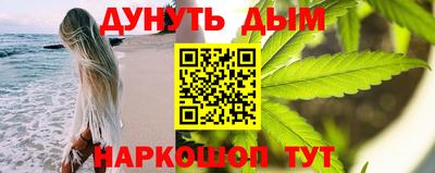 прущие грибы Абакан