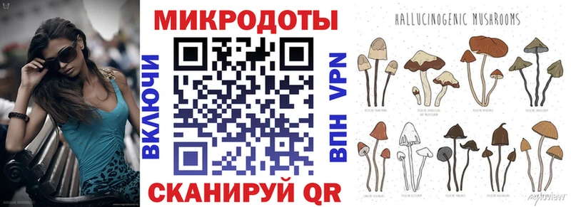 Галлюциногенные грибы Psilocybine cubensis  Саранск 