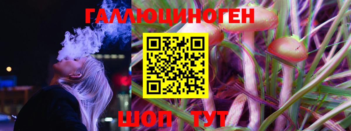 купить  сайты  Галлюциногенные грибы Psilocybe  Вход с VPN  Саранск 